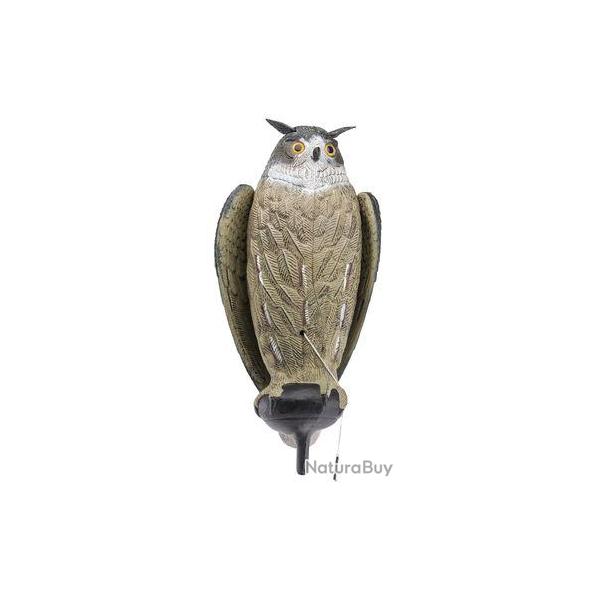 Appelant Grand-duc � ailes battantes 