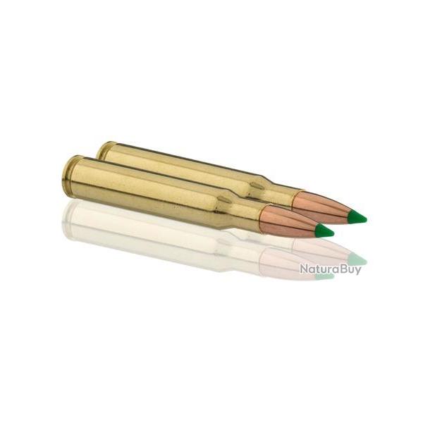 Cartouches Sologne 30-06 Springfield NOSLER BALLISTIC TIP