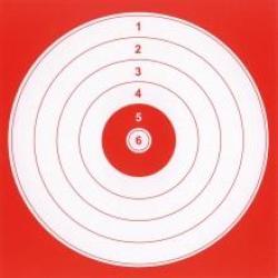 100 cibles cartons Shoot Again 14 x 14 cm