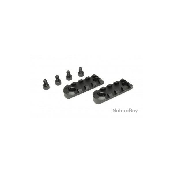 Kit rail type B Action Army pour AAC T10