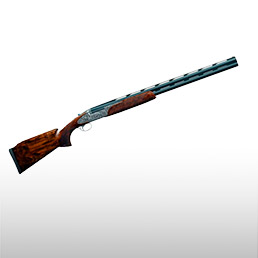 Fusils de parcours de chasse