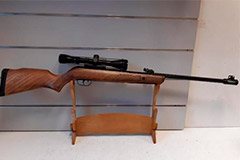 Hunter 440 AS�- 19.9J<br/>Cal. 4.5 mm�<br/>Lunette 4-9x40