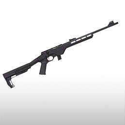 Carabines<br/>Cal. 22LR