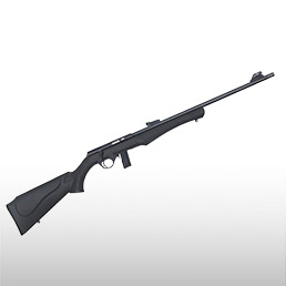 Carabines de tir sportif