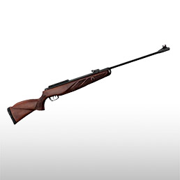 Carabines<br/> plomb