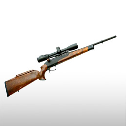 Carabines  culasse linaire