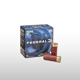 Munitions lisses