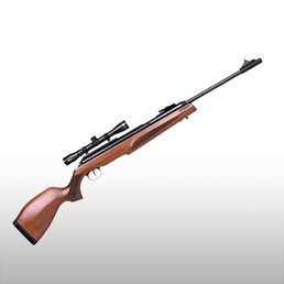 Carabines � plomb