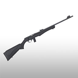 Carabines 22LR