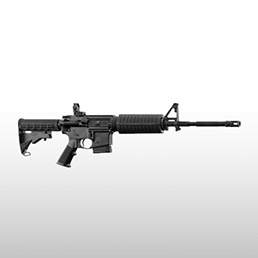 Armes longues Cat B