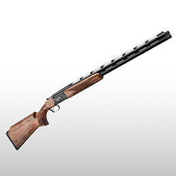 Fusils de parcours de chasse