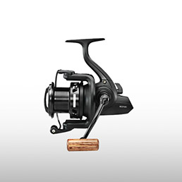 Moulinets carpe