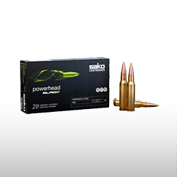 Munitions ray�es Cal. 300 Win Mag