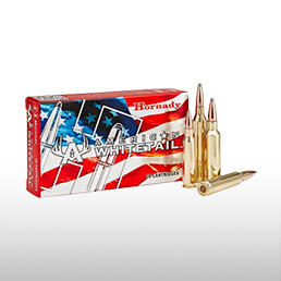 Munitions ray�es Cal. 300 WSM