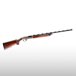 Fusils semi-automatiques autre calibre