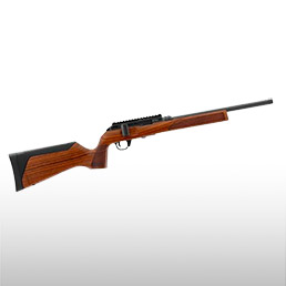 Carabines<br/>de tir sportif