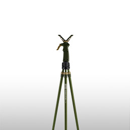 Cannes<br/>de pirsch