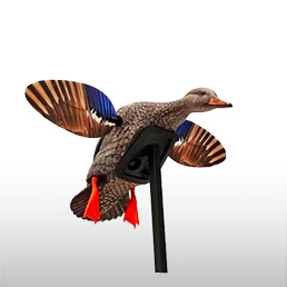 Ailes tournantes<br/>et man�ges