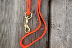 Plate<br/>Biothane - 10m