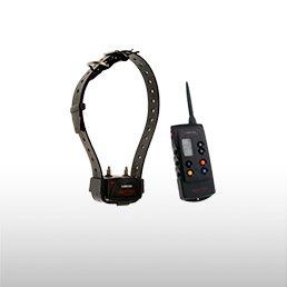 Colliers de dressage