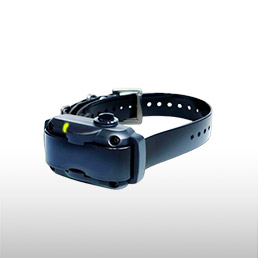 Colliers<br/>anti-aboiements