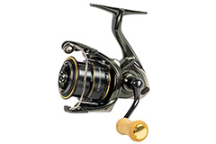 Cardiff XR C�<br/>2000 S