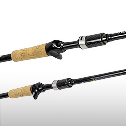 Cannes<br/>carnassier