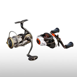 Moulinets carnassier