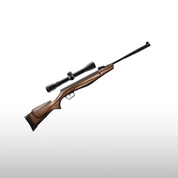 Carabines<br/>� plomb