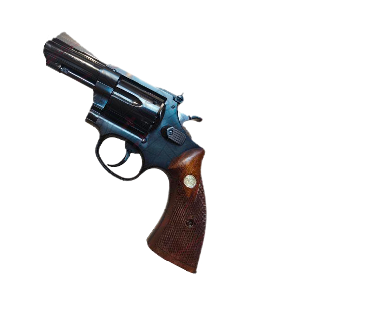 Service Special<br/>Cal. 38 Special<br/>+ Holster cuir