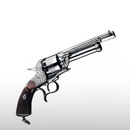 Armes � poudre noire