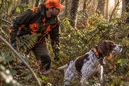 B�casse & Chasse au bois