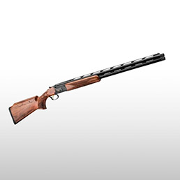 Fusils de parcours de chasse