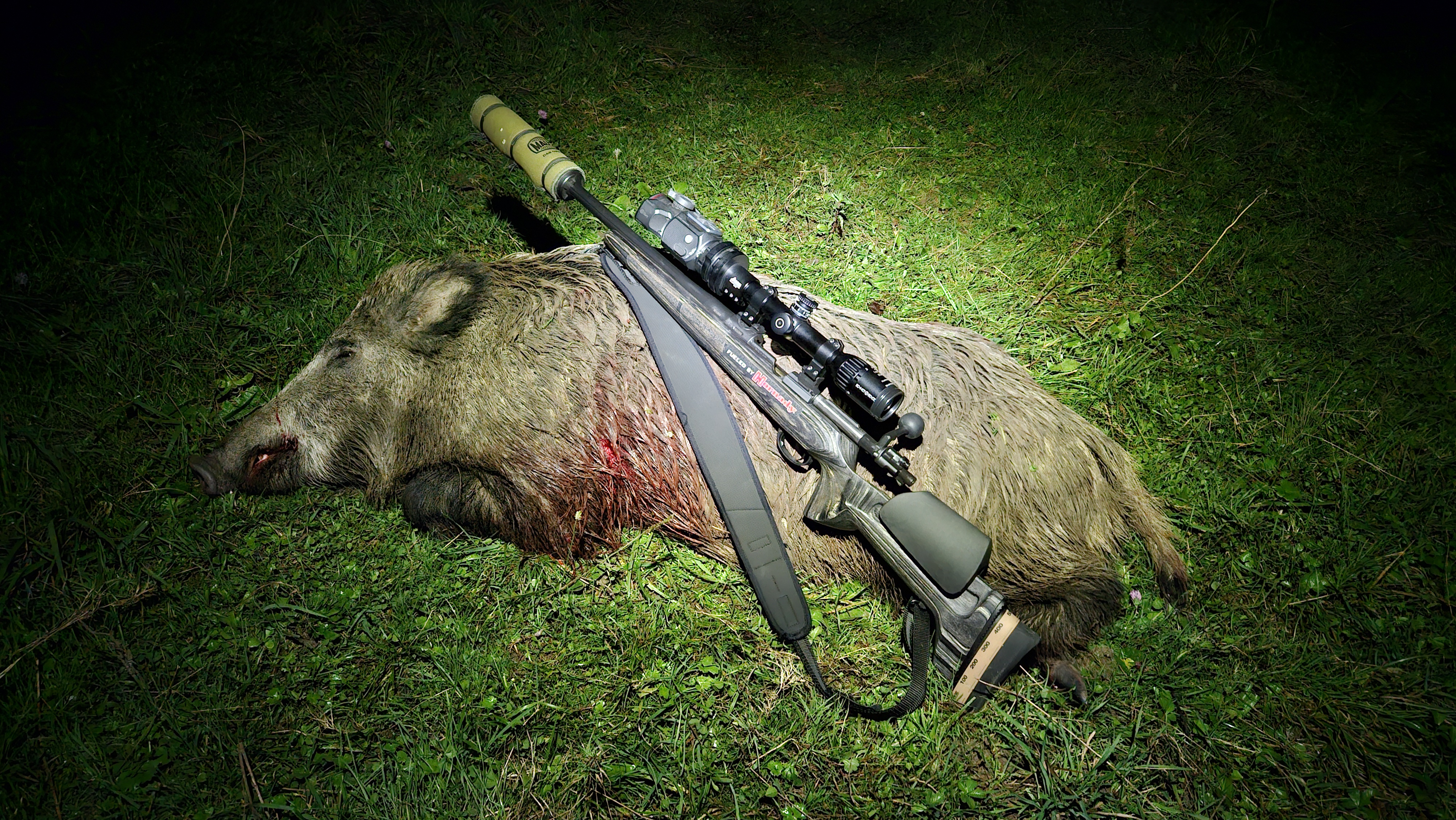 L'Express travaille beaucoup dans le gibier