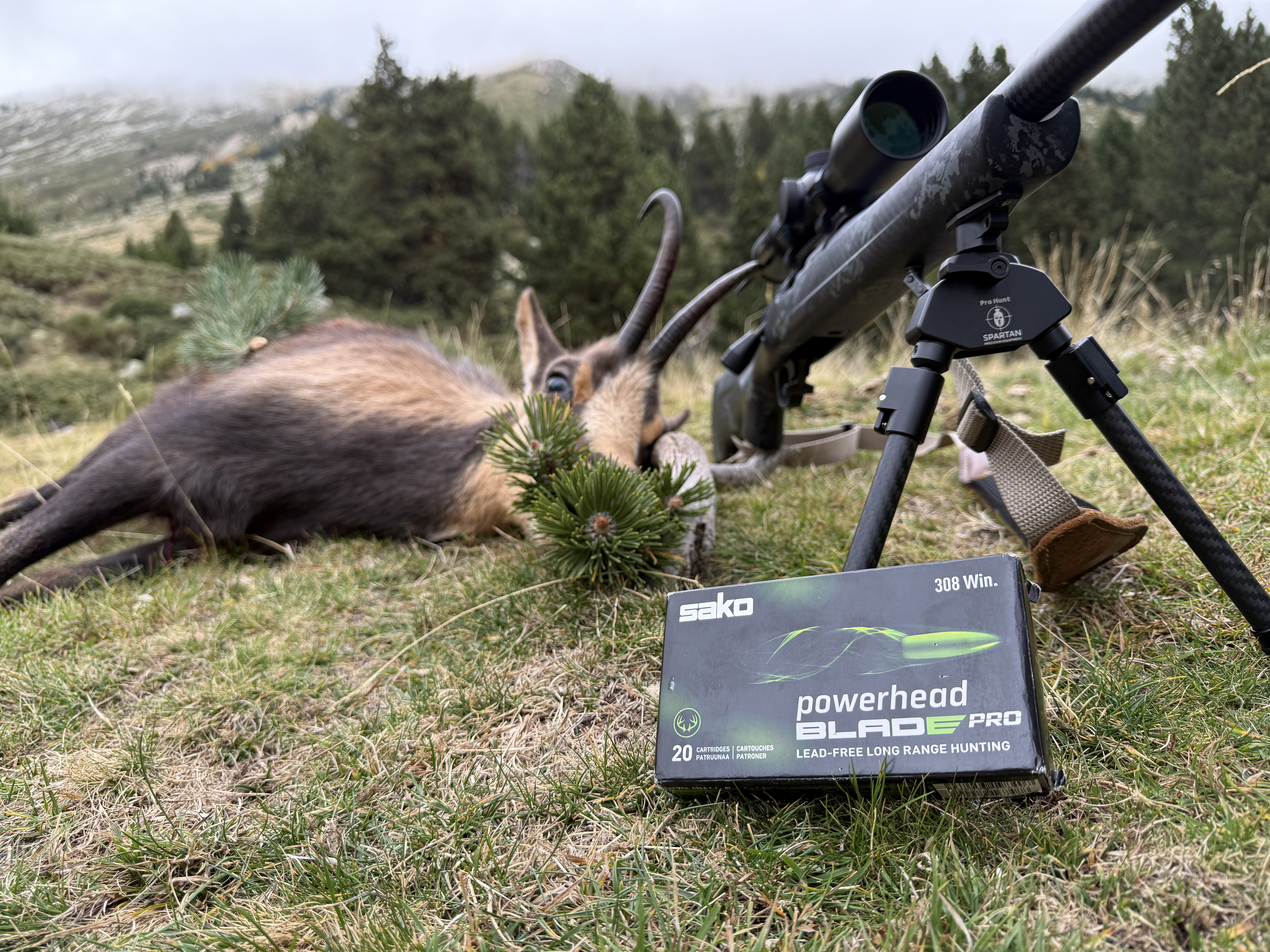 isard a �t� tir� � une quinzaine de m�tres