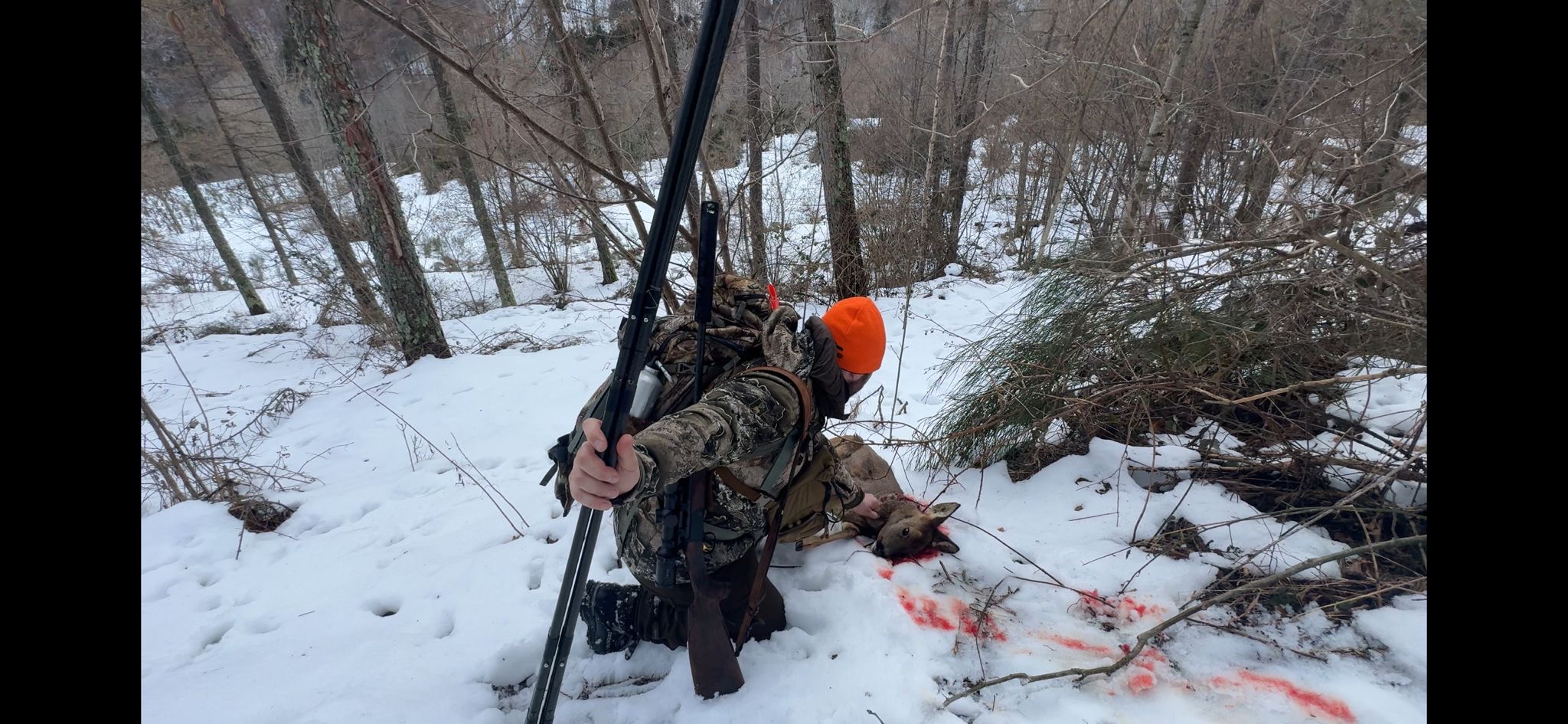 le mod�rateur s'av�re aussi un indicateur lors de l'impact dans l'animal.