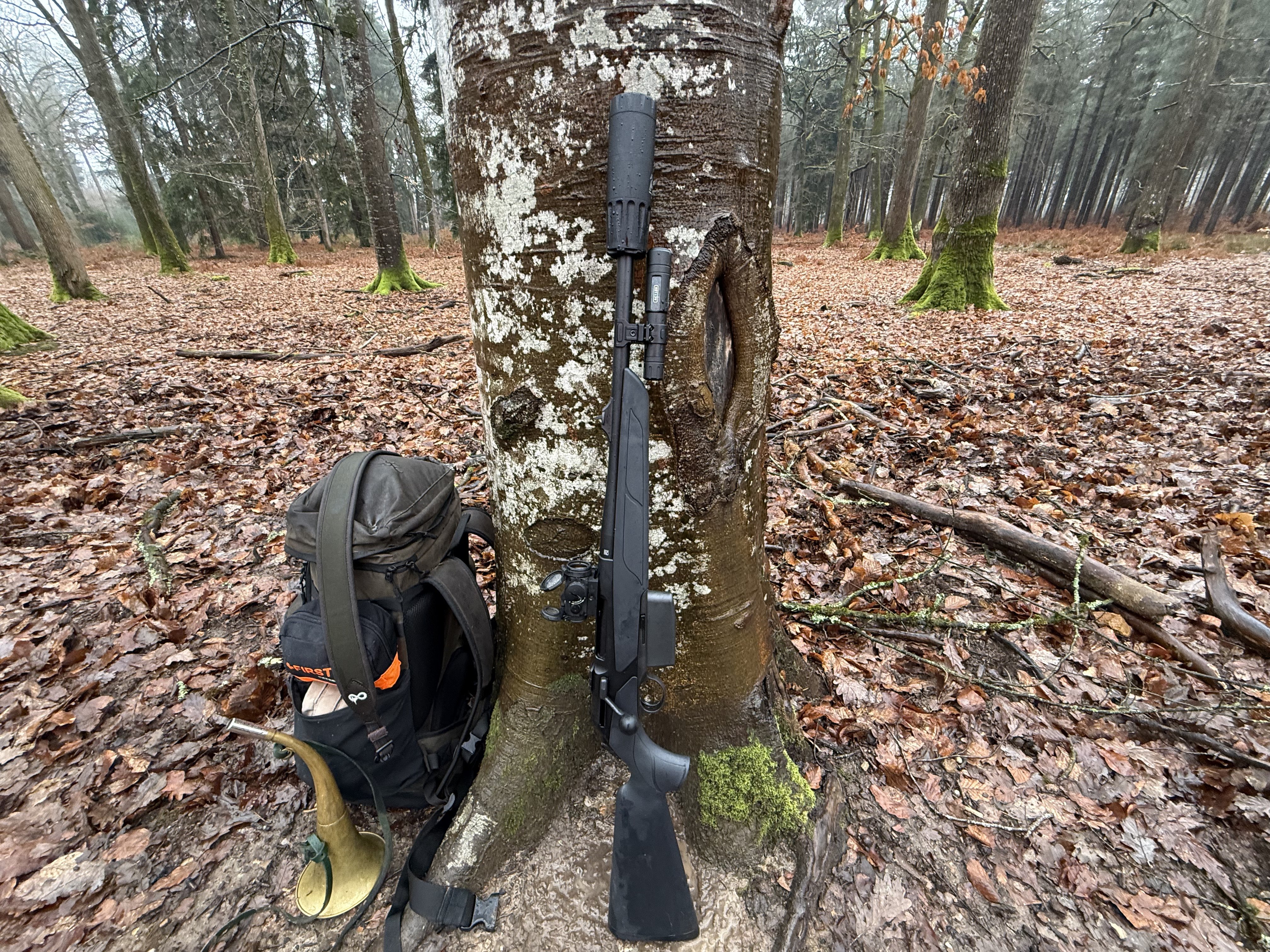 l'int�r�t du H3-1 en image