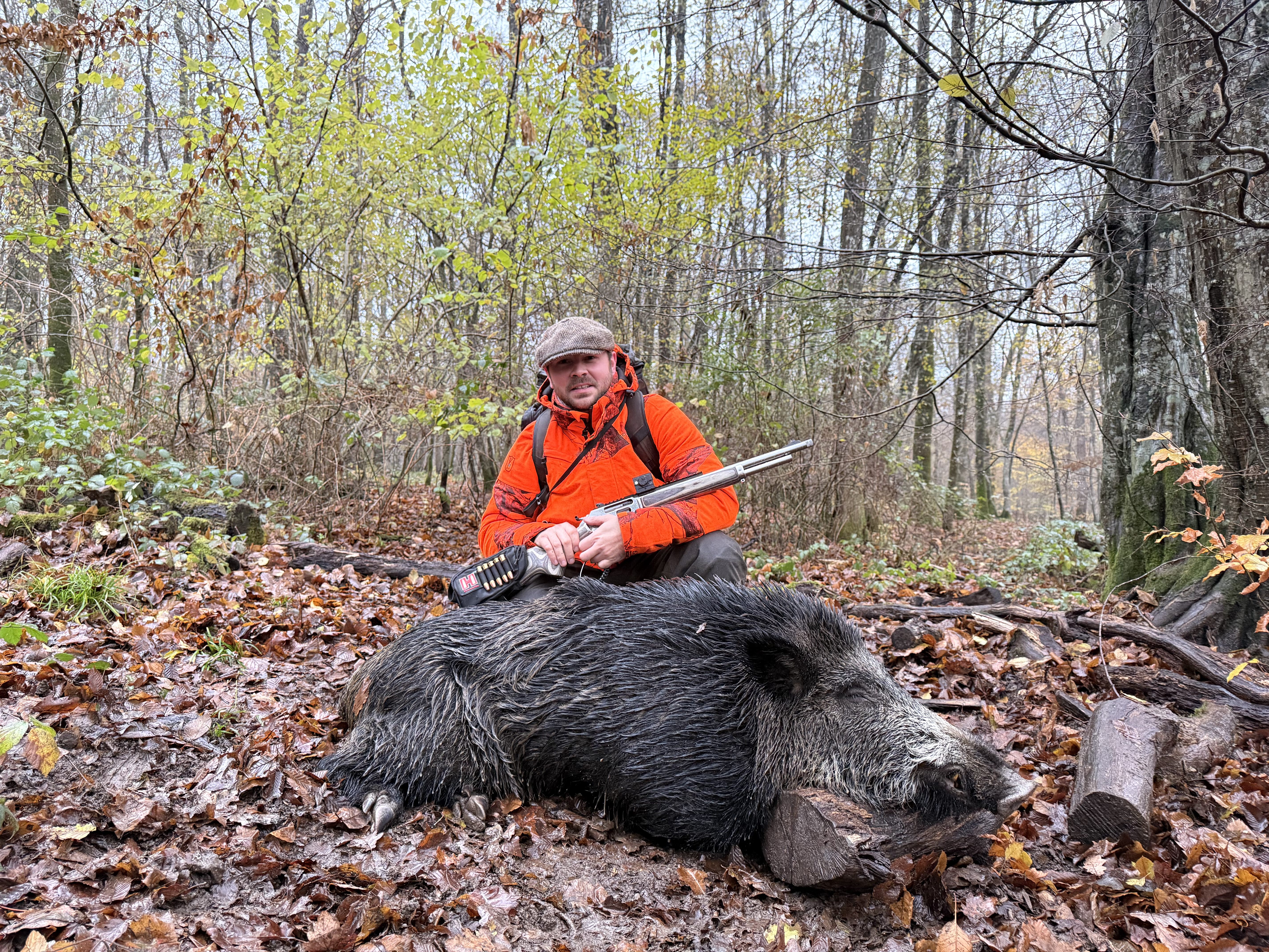 Sanglier m�le de 106 kg plein, stopp� net � 35 m�tres en pleine course par une Federal Power-Shok 