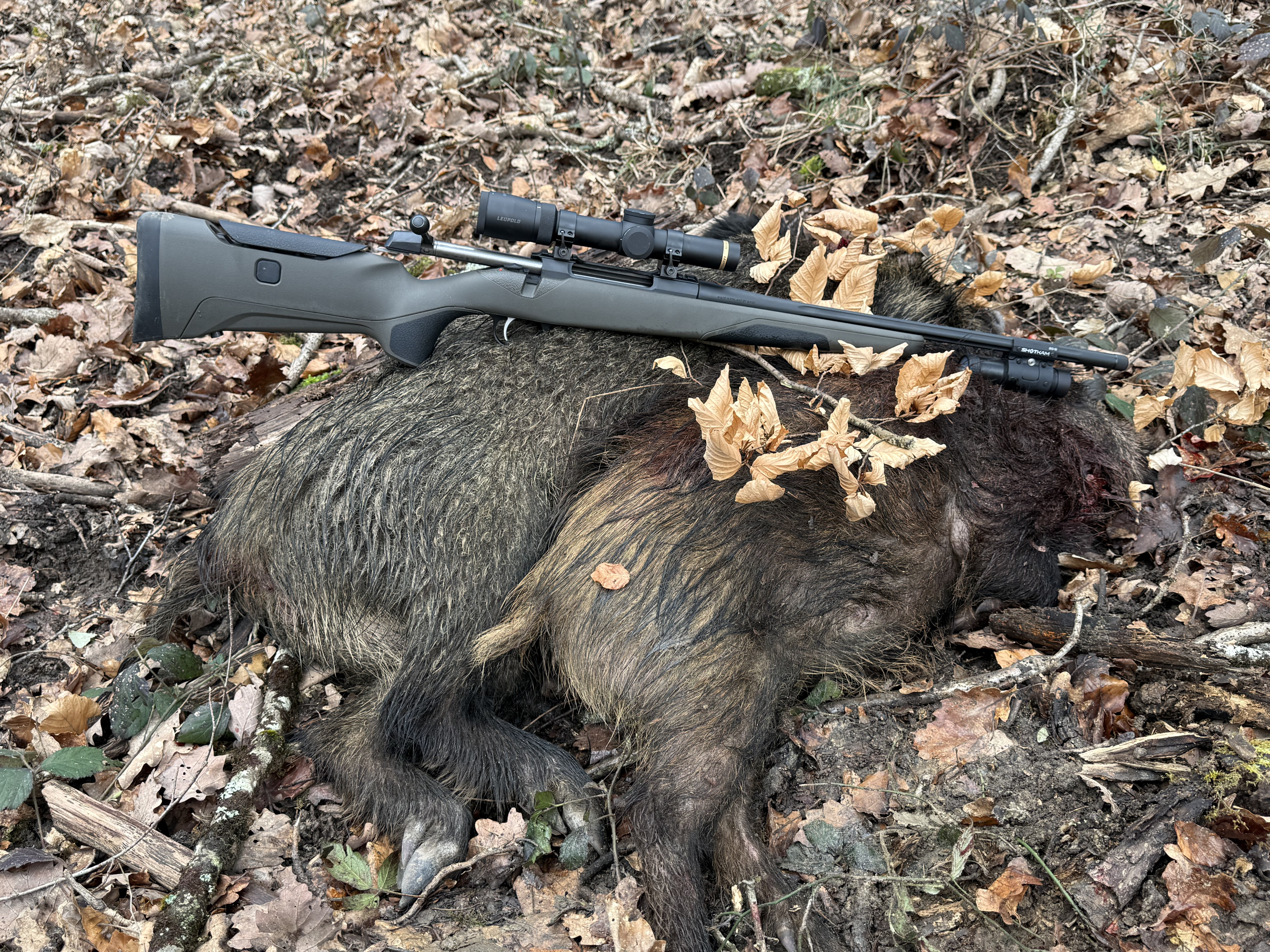 la 90 Finnlight Black s'av�re vive et pr�cise au saut du layon