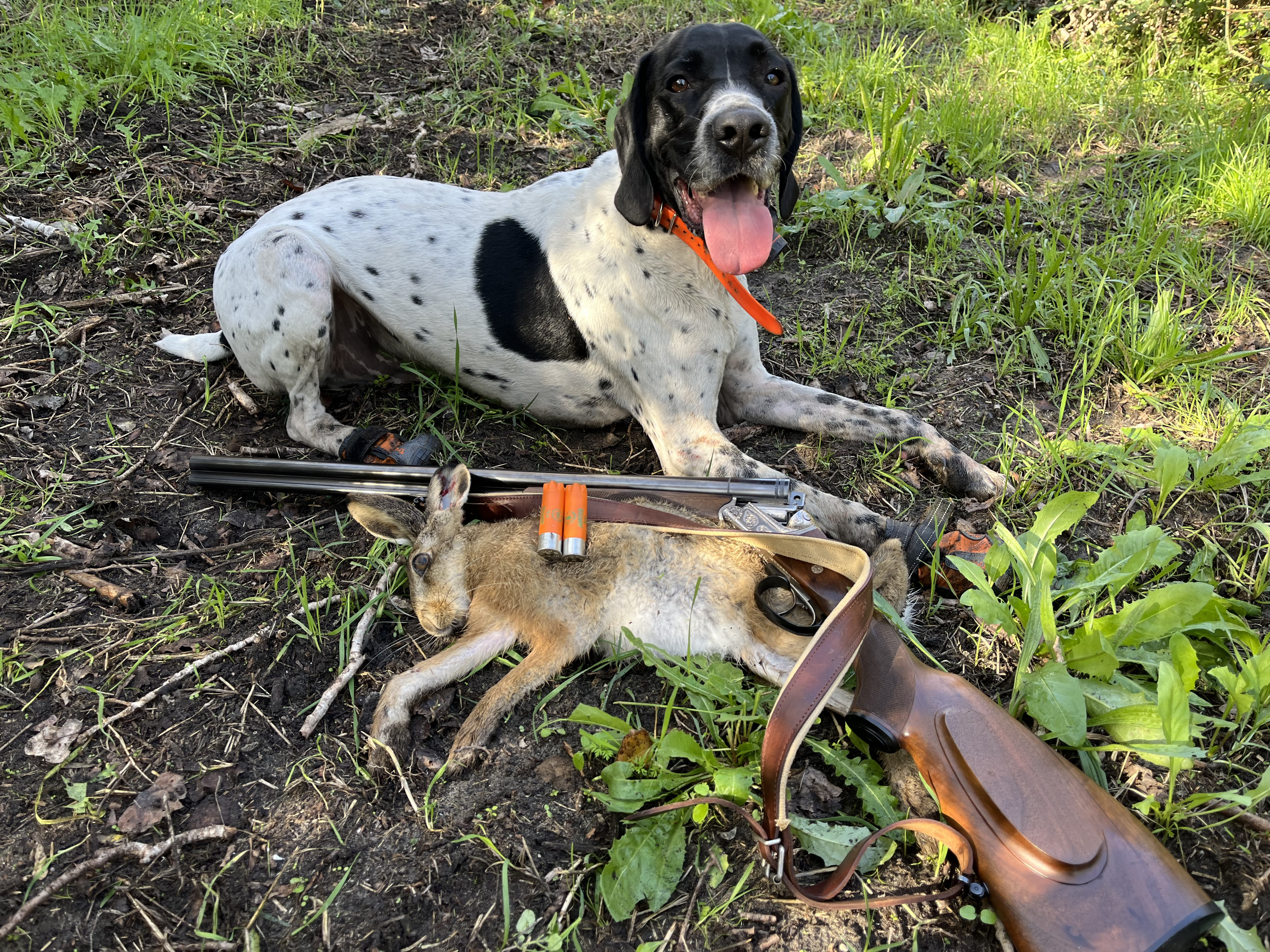 L'ouverture de la chasse ne tombe pas � la m�me date partout en France