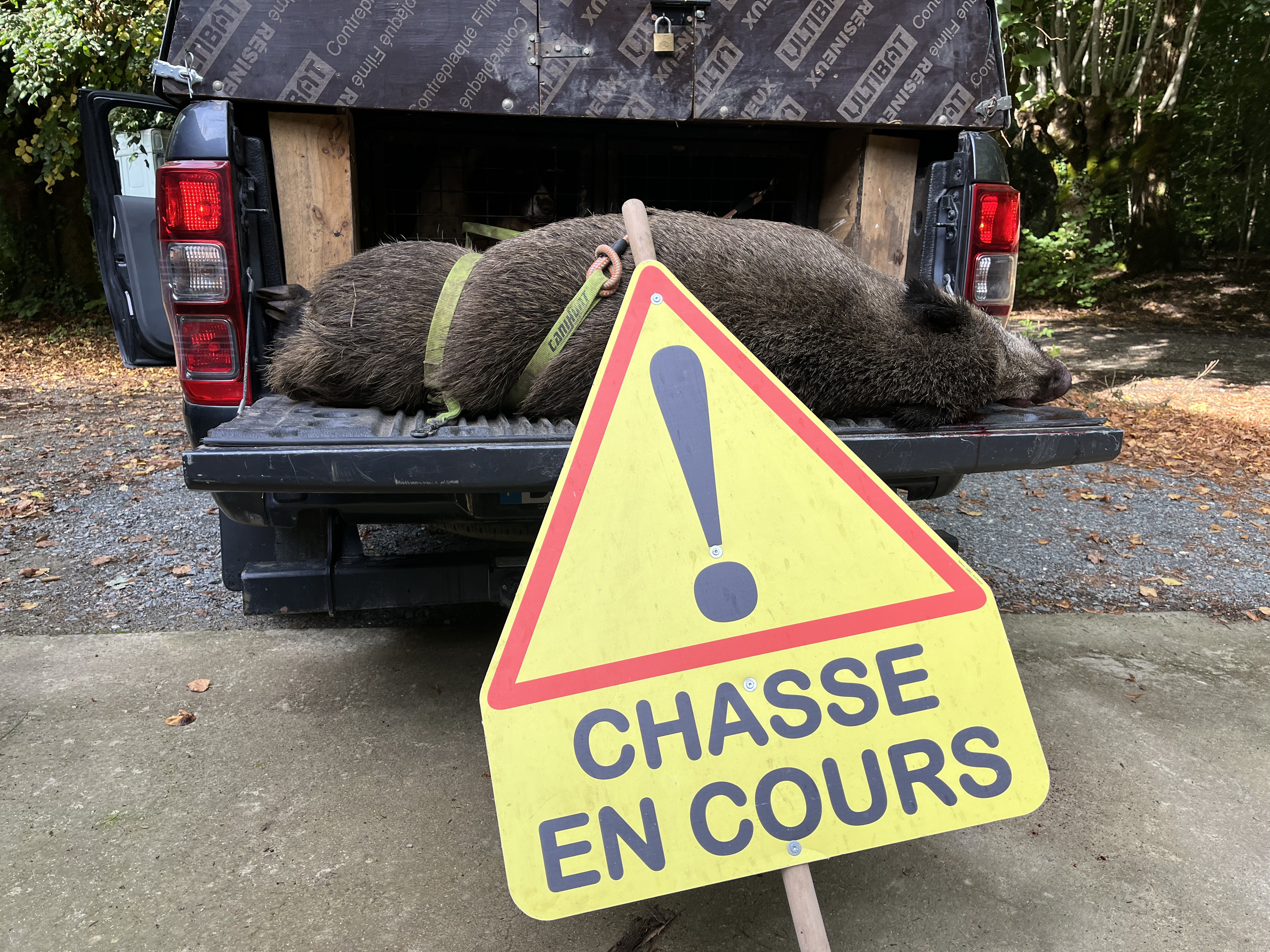 Le chevreuil et le sanglier peuvent faire l'objet d'ouvertures anticip�es