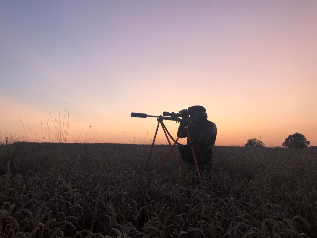 L'arr�t� pr�fectoral reste le document de r�f�rence pour conna�tre les dates, les modes de chasse autoris�s et les �ventuelles restrictions.