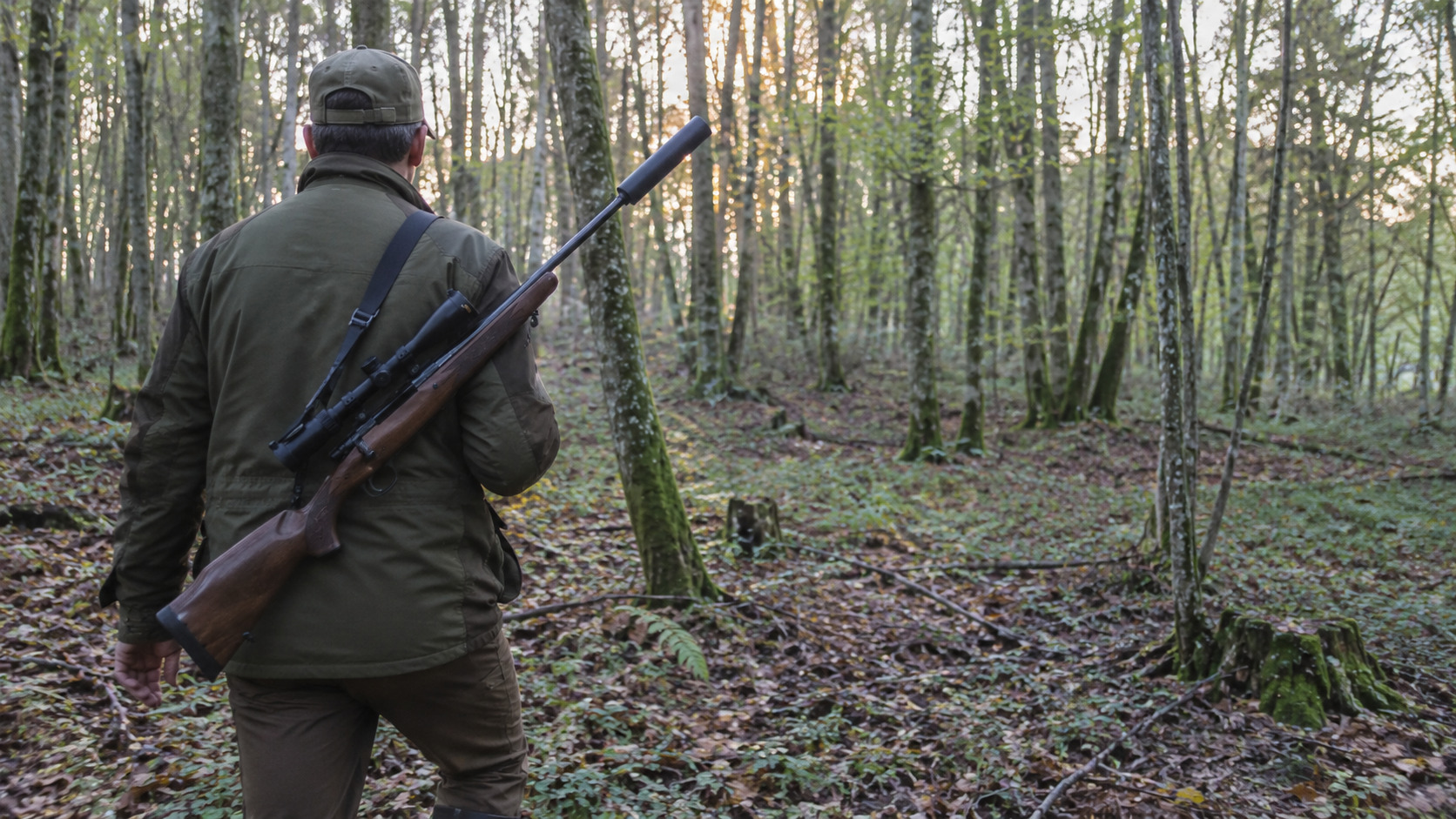  Chasse � l'approche du chevreuil en for�t vosgienne, carabine �quip�e d'un mod�rateur de son.