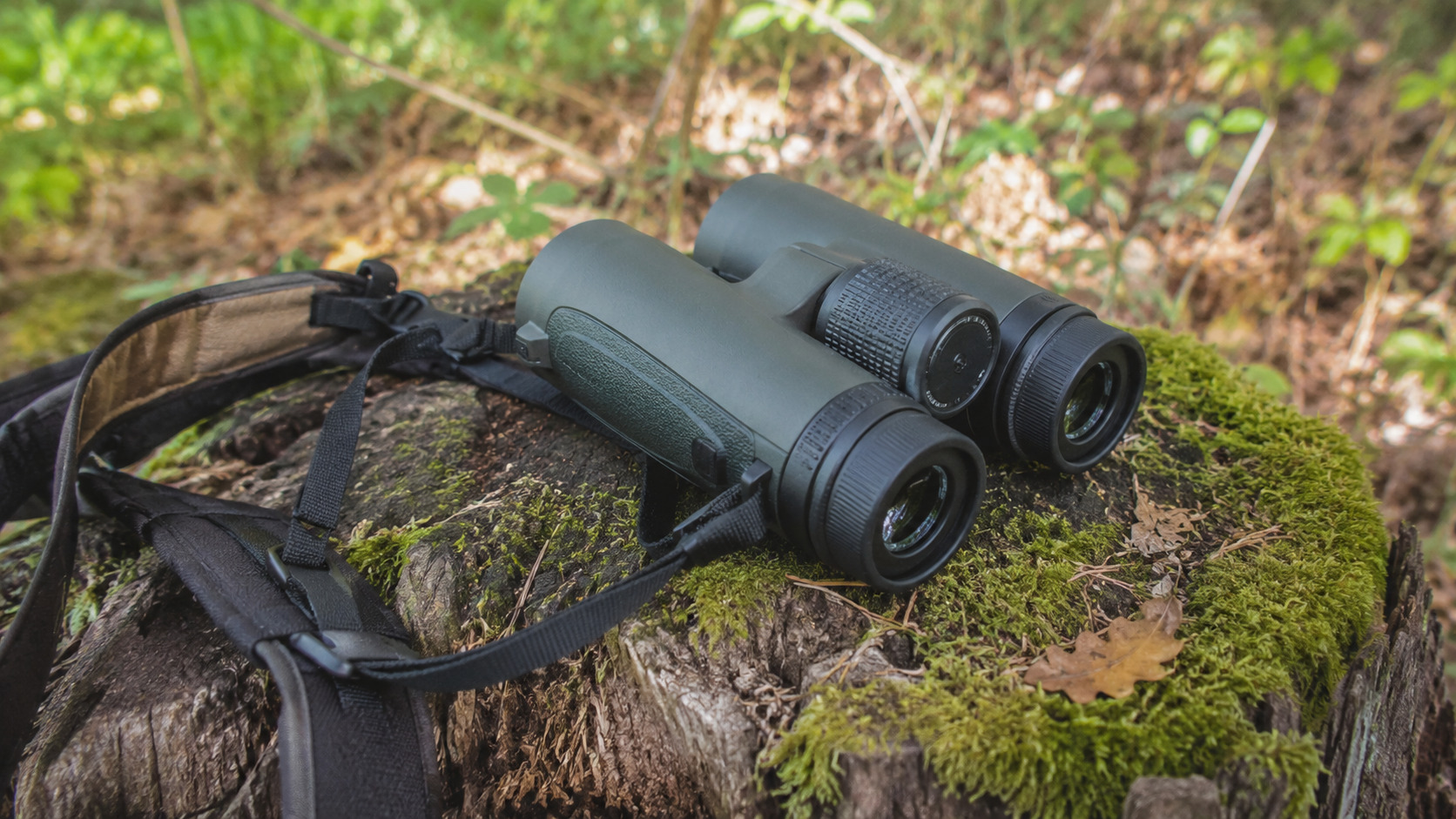 Paire de jumelles de chasse 8x42, configuration approche.