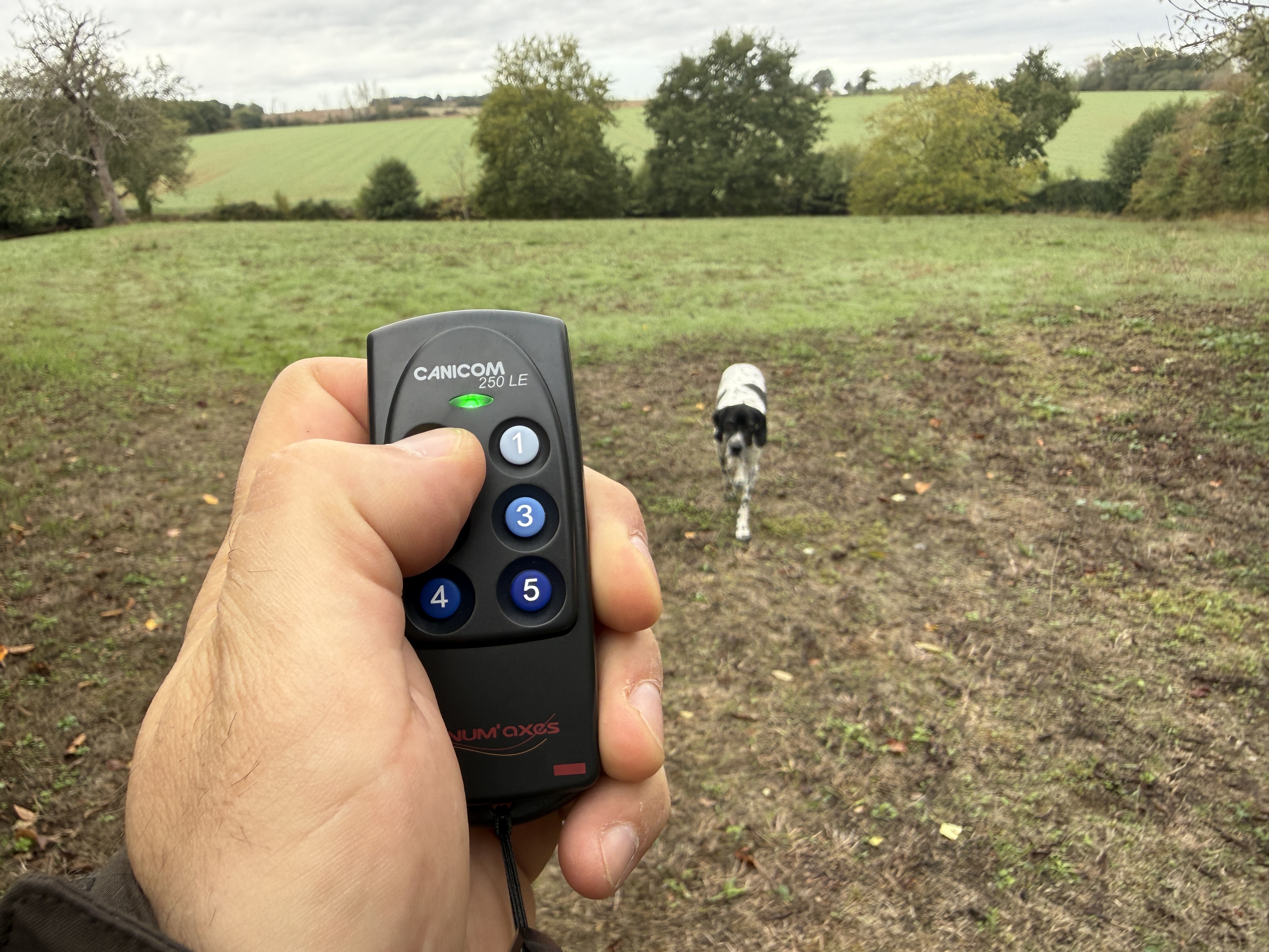  Le bip d'avertissement permet de se passer de la stimulation tout en envoyant une consigne sonore au chien.