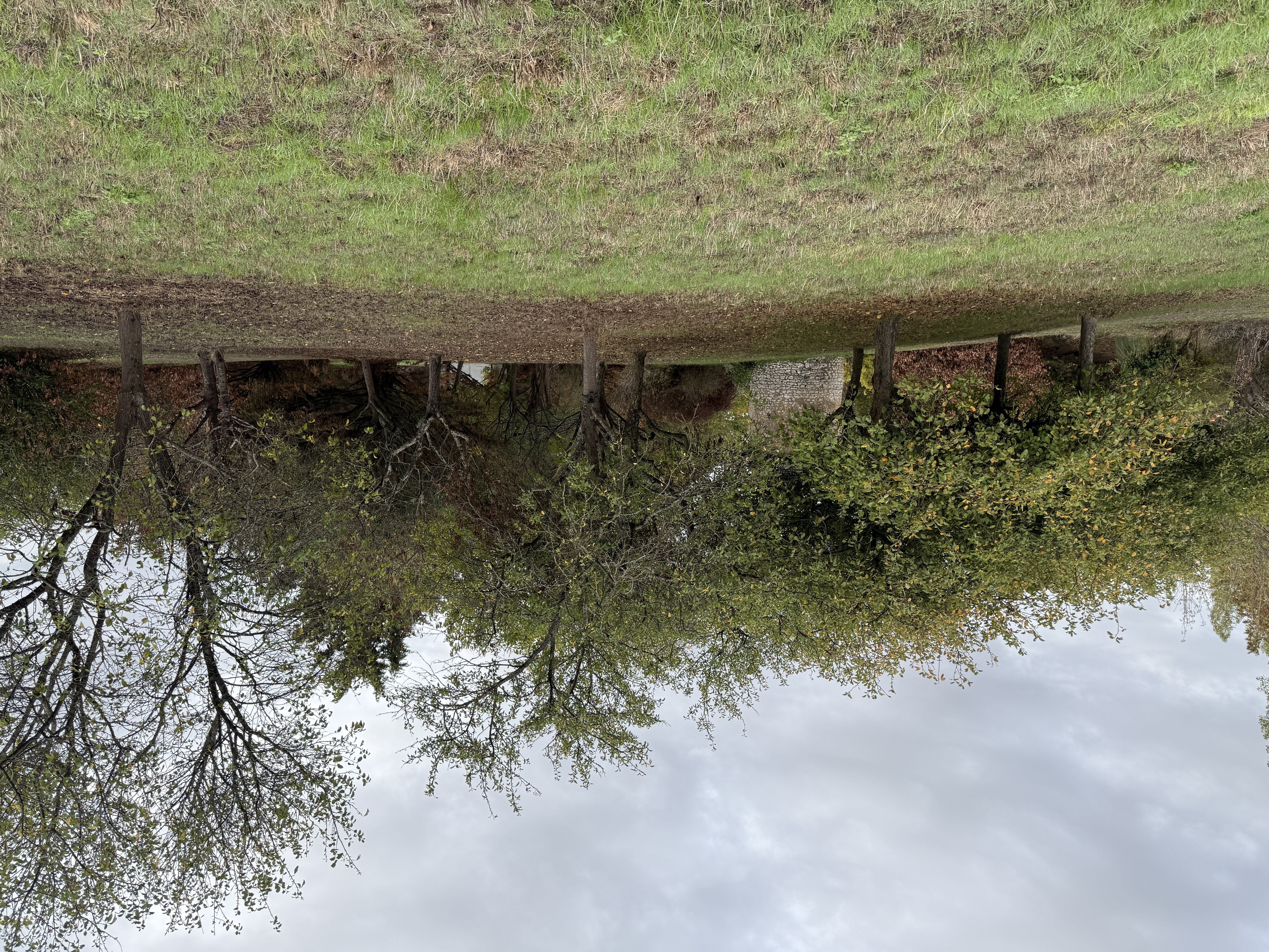 Notre poste d'essai : un vieux verger en lisi�re, lieu de passage r�gulier des chevreuils. La cam�ra est discr�te sur le tronc au centre de l'image. Dans son camouflage �corce, le PIE1073 se fond sur l'�corce.