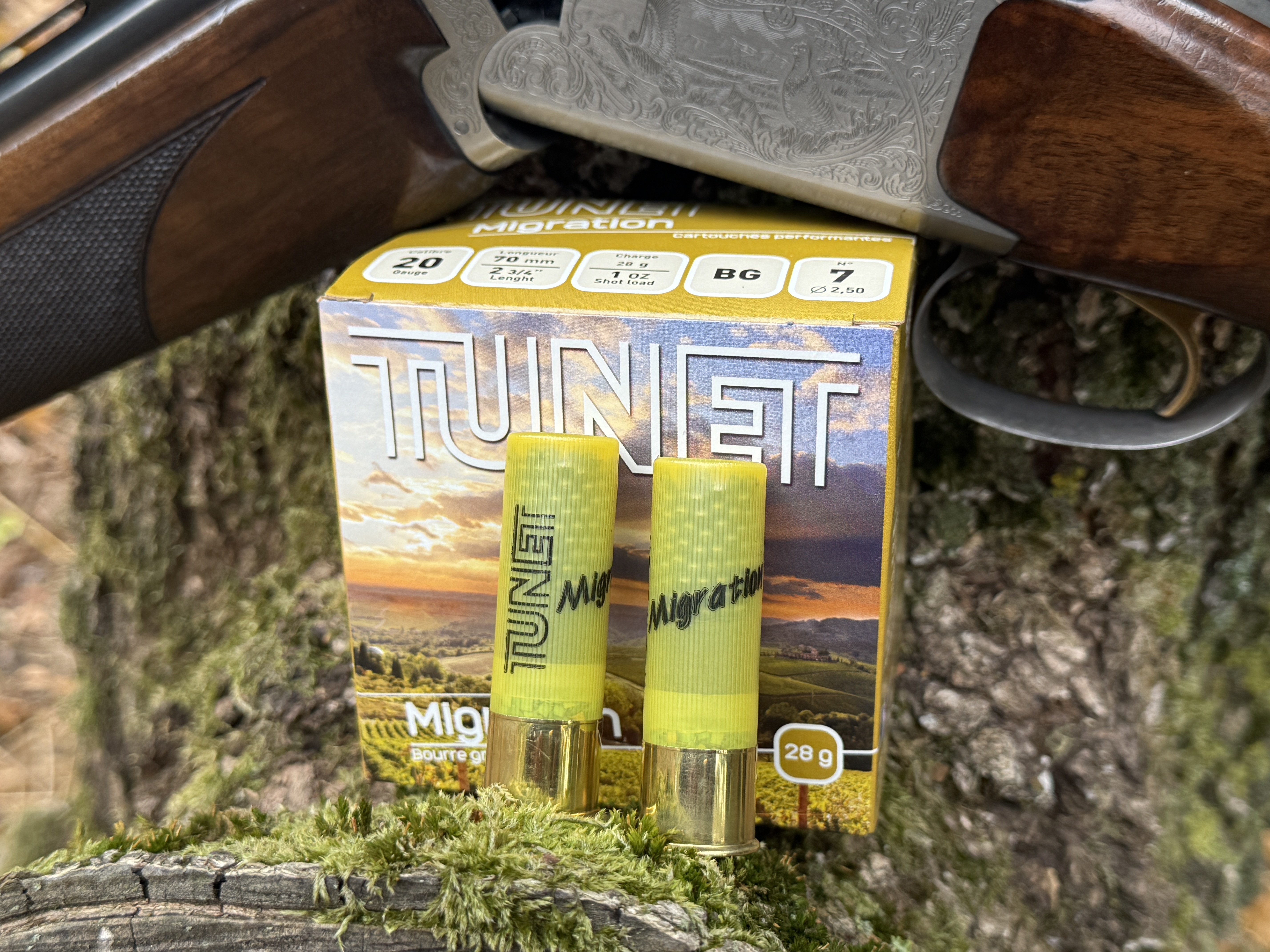 2 � La douille translucide jaune citron l�g�rement pass�, laisse voir la bourre grasse : un look traditionnel assum�, avec un sertissage �toile net et un marquage clair du num�ro de plomb.