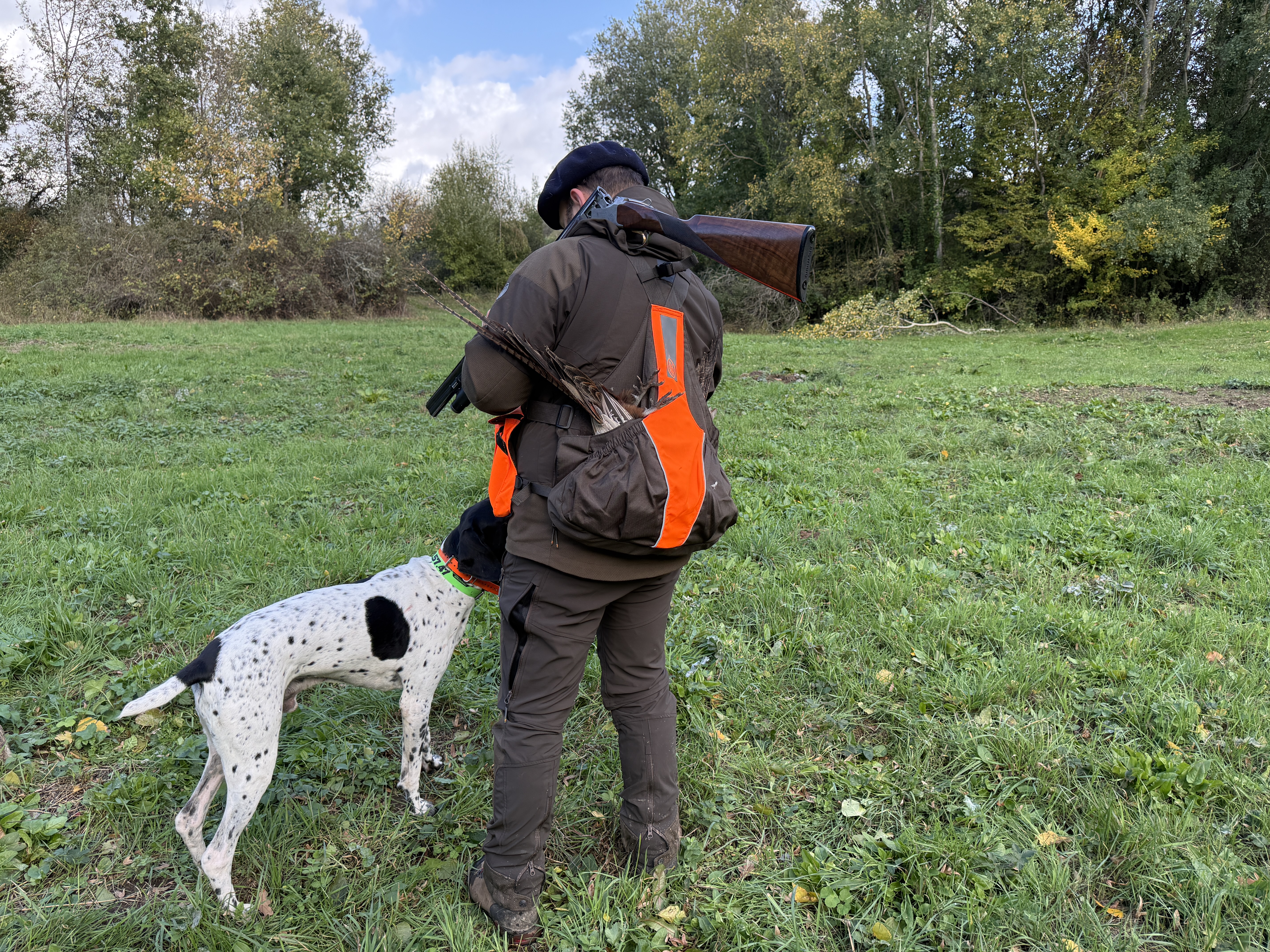 Retour de chasse avec le chien : deux faisans voyagent dans le carnier arri�re sans g�ner la marche. La bande r�fl�chissante sur l'arri�re du harnais compl�te la visibilit� de l'orange.