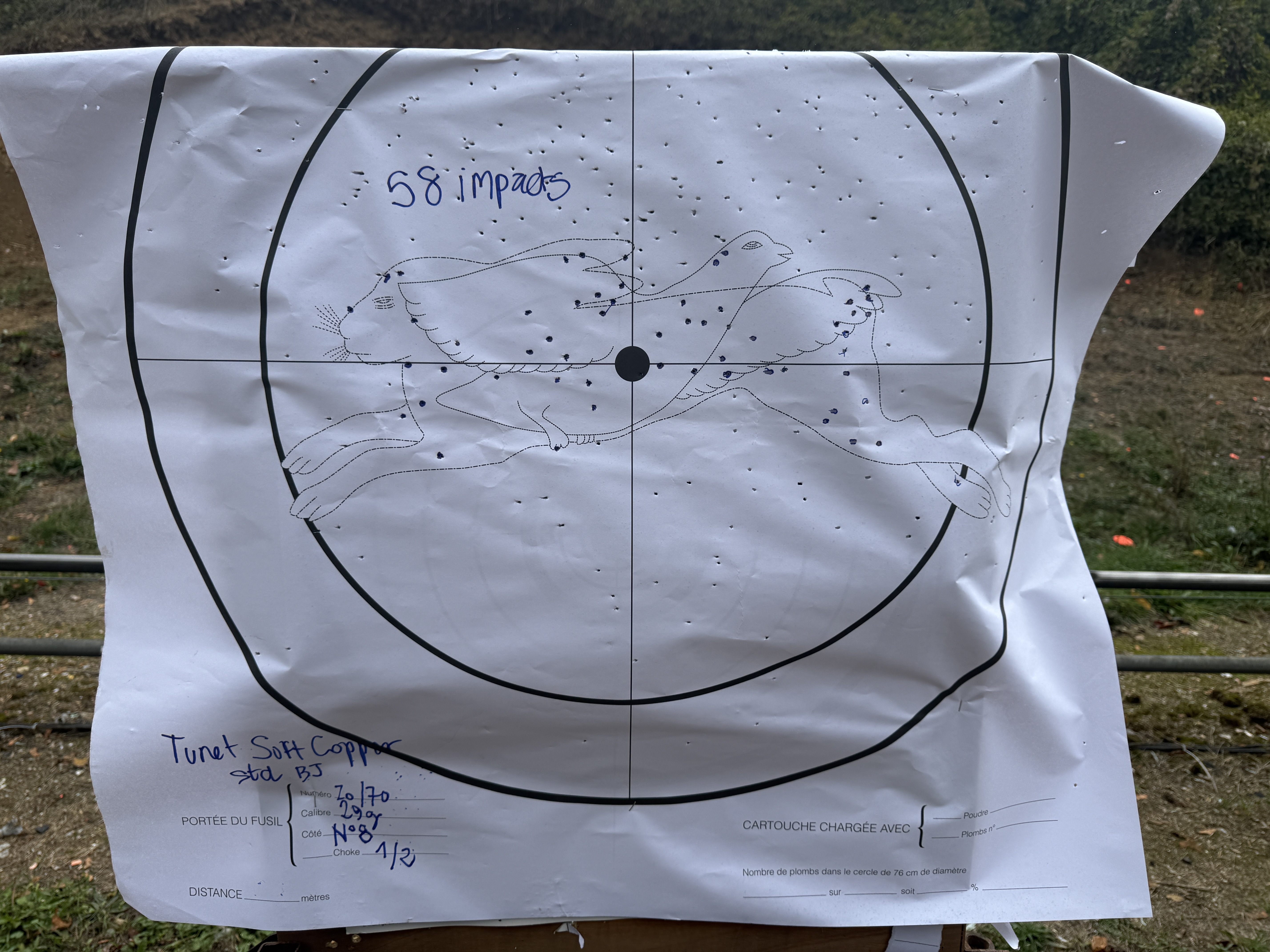Cible � 25 m, choke �, canon de 71 cm : 58 impacts dans la silhouette du li�vre/pigeon et une gerbe large, r�guli�re, l�g�rement plus dense en partie haute.