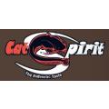 Cat Spirit